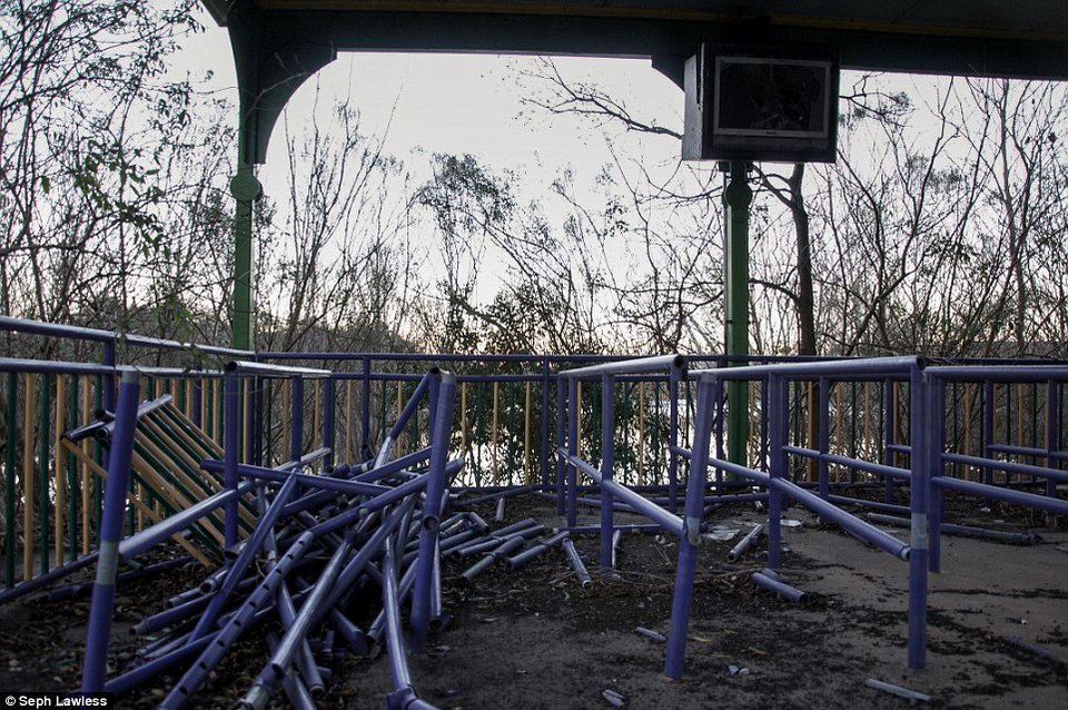 Λούνα παρκ για αλιγάτορες: Εγκαταλελειμμένο θεματικό πάρκο στη Νέα Ορλεάνη έγινε φωλιά ερπετών [εικόνες] | iefimerida.gr 9