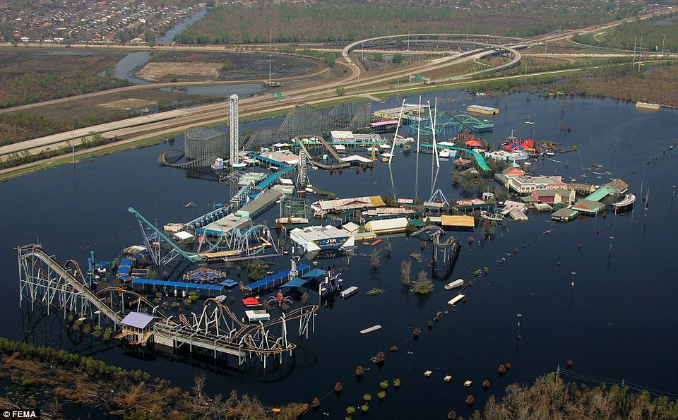 Λούνα παρκ για αλιγάτορες: Εγκαταλελειμμένο θεματικό πάρκο στη Νέα Ορλεάνη έγινε φωλιά ερπετών [εικόνες] | iefimerida.gr 8