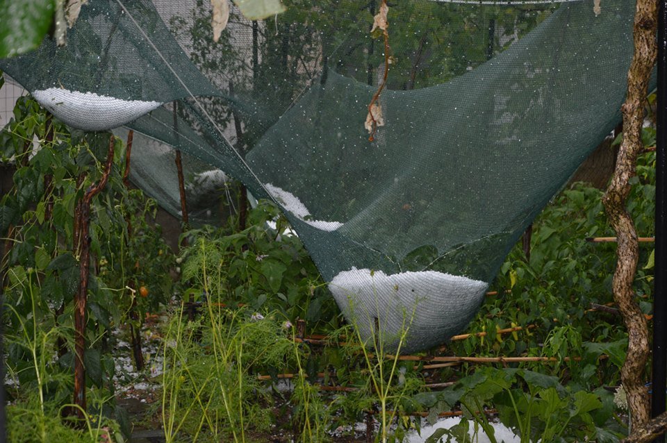 Εικόνες αποκάλυψης στα Ιωάννινα -Χαλάζι σε μέγεθος καρυδιού σάρωσε τα πάντα [εικόνες & βίντεο] | iefimerida.gr 1