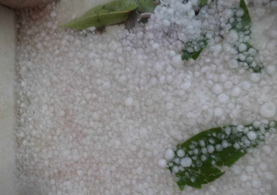 Εικόνες αποκάλυψης στα Ιωάννινα -Χαλάζι σε μέγεθος καρυδιού σάρωσε τα πάντα [εικόνες & βίντεο] | iefimerida.gr 4