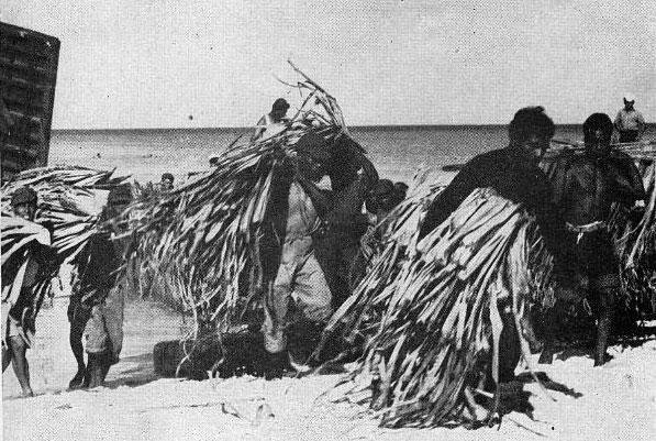 Νησιά Μάρσαλ: Η υπερθέρμανση του πλανήτη απειλεί τους αυτόχθονες - Είχαν ήδη εξοριστεί λόγω των πυρηνικών δοκιμών [εικόνες] | iefimerida.gr 7