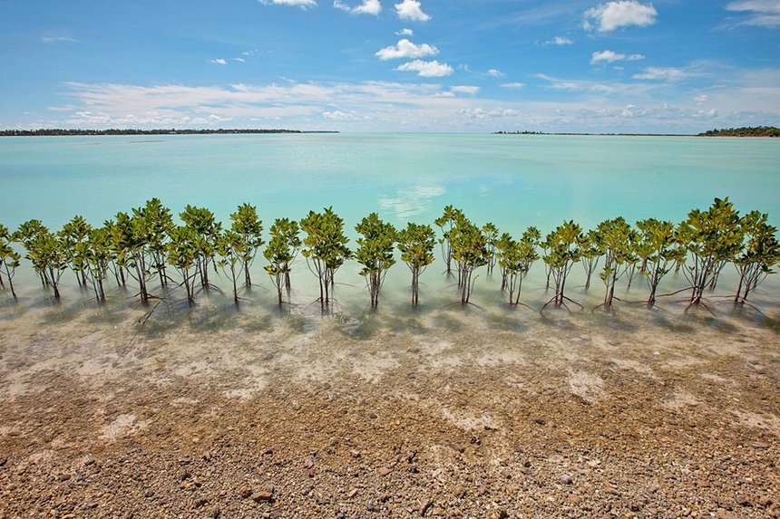 Νησιά Μάρσαλ: Η υπερθέρμανση του πλανήτη απειλεί τους αυτόχθονες - Είχαν ήδη εξοριστεί λόγω των πυρηνικών δοκιμών [εικόνες] | iefimerida.gr 2