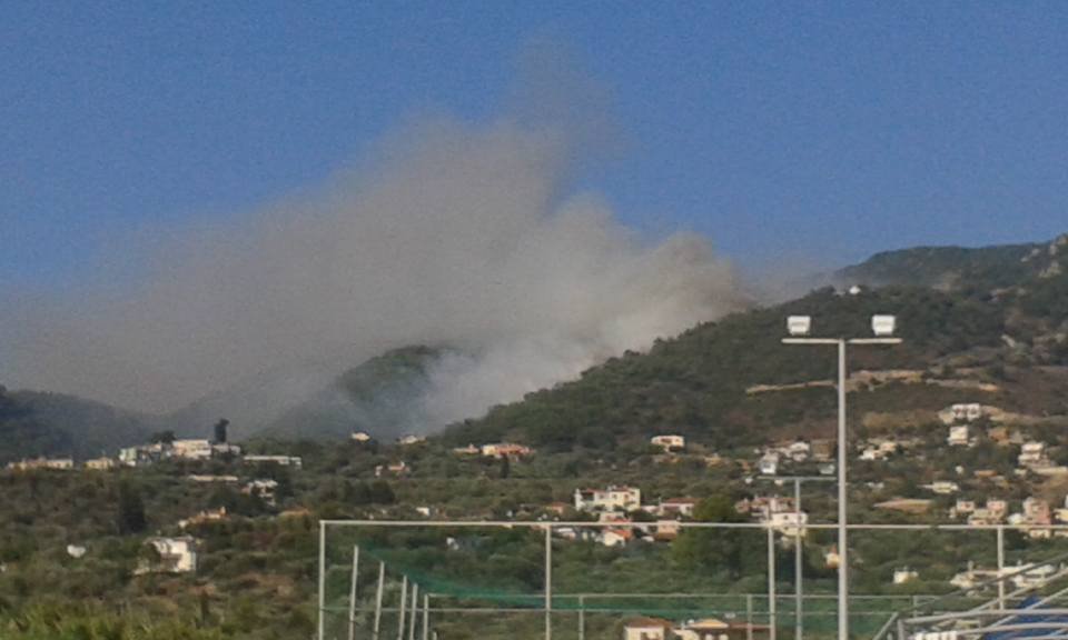 Υπό έλεγχο η πυρκαγιά στην Αγία Μαρίνα της Μυτιλήνης [εικόνες] | iefimerida.gr 0
