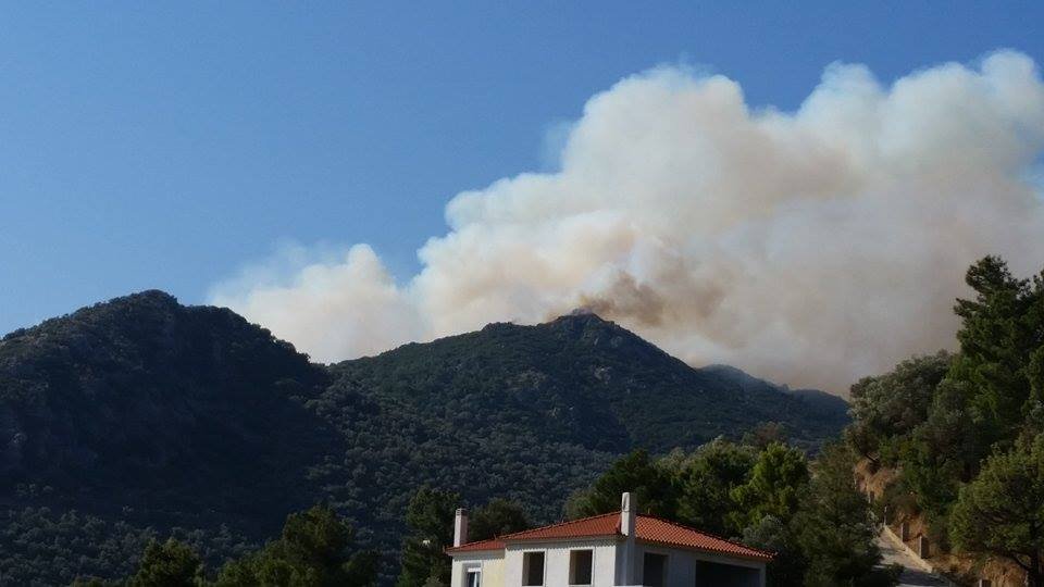 Υπό έλεγχο η πυρκαγιά στην Αγία Μαρίνα της Μυτιλήνης [εικόνες] | iefimerida.gr 2