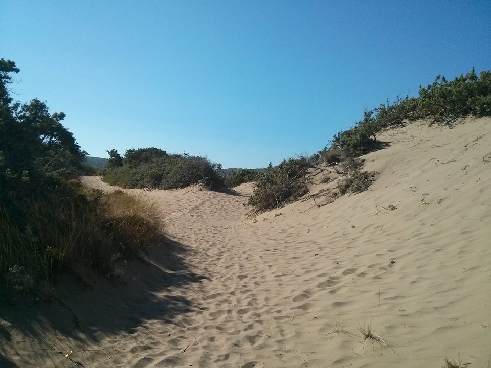 Αμμόλοφοι και κρυστάλλινα νερά -Η κρυφή παραλία στο τέλος ενός χωματόδρομου στη Ρόδο που θυμίζει... Αφρική [εικόνες & βίντεο] | iefimerida.gr 1