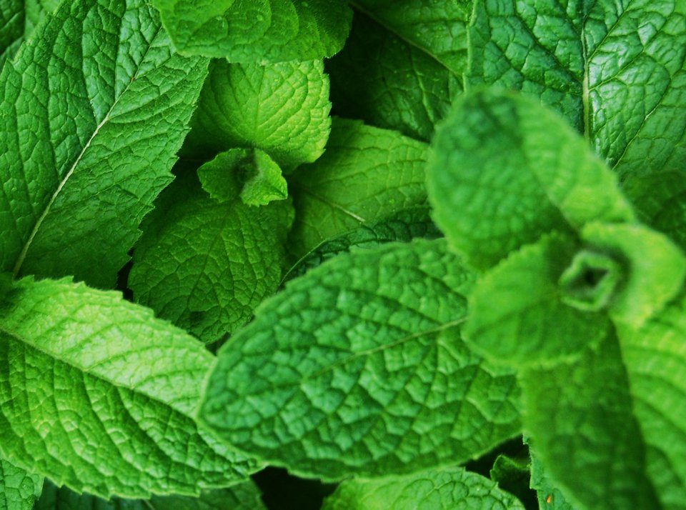 Οι 8 υπερτροφές που ενισχύουν τη λειτουργία του εγκεφάλου [λίστα] | iefimerida.gr 0