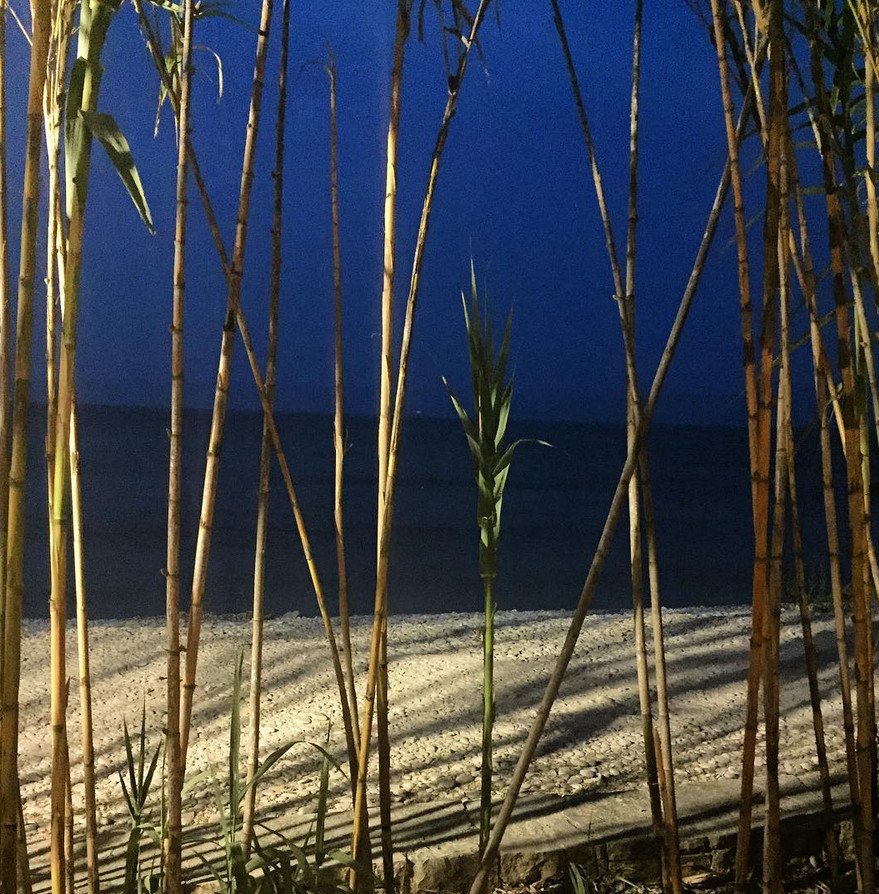 Αυτός είναι ο παράδεισος του Χριστόφορου Παπακαλιάτη [εικόνες] | iefimerida.gr 5