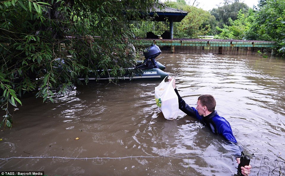 «Πνίγηκε» ζωολογικός κήπος στη Ρωσία: Σοκάρουν οι εικόνες με τα ζώα στα κλουβιά που βλέπουν το νερό να ανεβαίνει [εικόνες] | iefimerida.gr 7