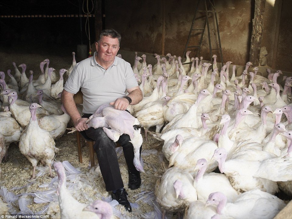 Ιπτάμενες γιαγιάδες, τεράστια πόδια, γιγάντια λαχανικά: Τα ρεκόρ Γκίνες του 2016 [εικόνες] | iefimerida.gr 7