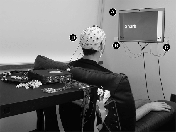 Δύο άνθρωποι συνδέθηκαν νοητικά εξ αποστάσεως μέσω... ίντερνετ [εικόνες & βίντεο] | iefimerida.gr 1