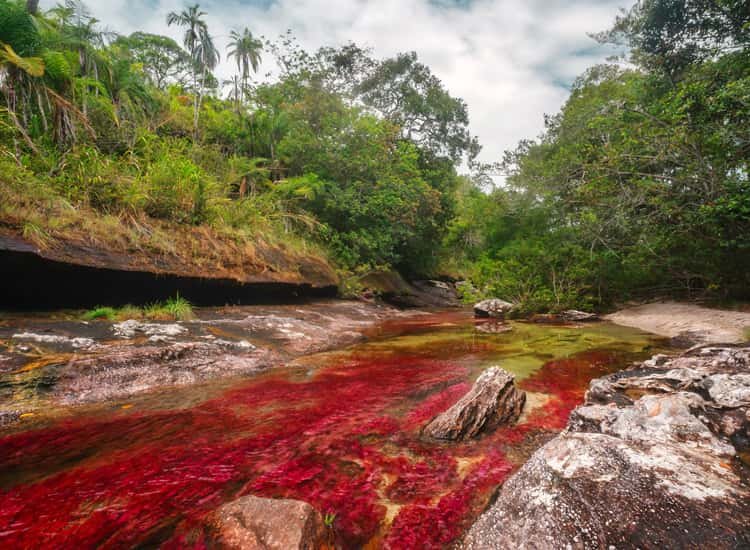 Οι 10 πιο επικίνδυνες χώρες στον κόσμο και γιατί αξίζει να τις επισκεφθείτε [εικόνες] | iefimerida.gr 5
