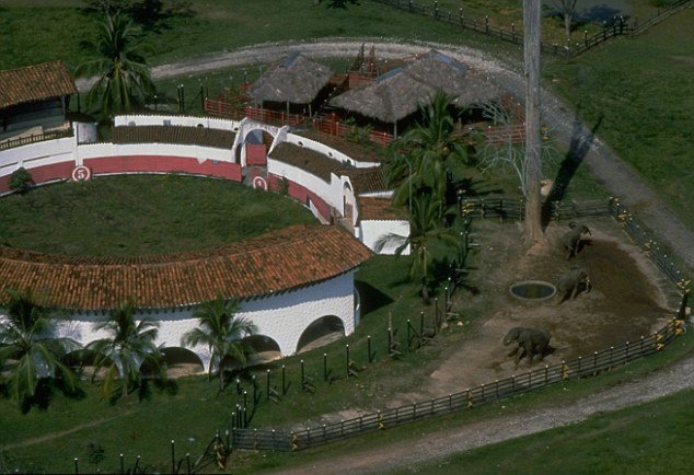 Πάμπλο Εσκομπάρ -Ιστορίες από τη ζωή του βαρόνου ναρκωτικών [εικόνες] | iefimerida.gr 1