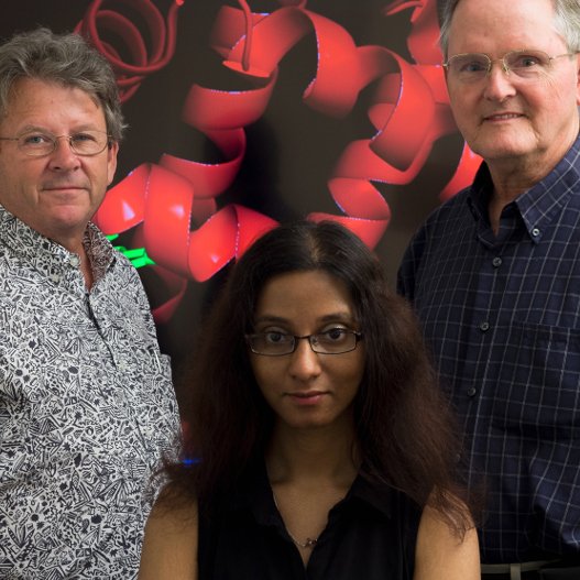 Οι φάλαινες κρατούν το μυστικό για τη δημιουργία του συνθετικού αίματος  [εικόνες&βίντεο]  | iefimerida.gr 0