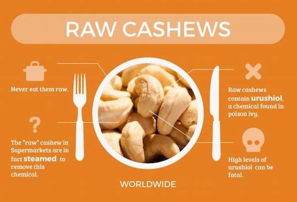 Τα πιο επικίνδυνα φαγητά του κόσμου: Τι να μη φάτε σε κάθε χώρα [εικόνες] | iefimerida.gr 9