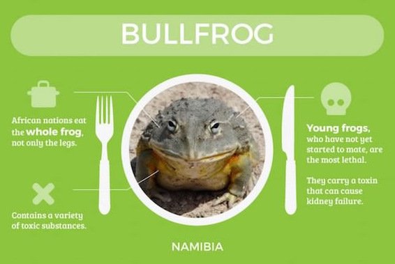 Τα πιο επικίνδυνα φαγητά του κόσμου: Τι να μη φάτε σε κάθε χώρα [εικόνες] | iefimerida.gr 1