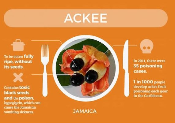 Τα πιο επικίνδυνα φαγητά του κόσμου: Τι να μη φάτε σε κάθε χώρα [εικόνες] | iefimerida.gr 2