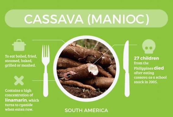 Τα πιο επικίνδυνα φαγητά του κόσμου: Τι να μη φάτε σε κάθε χώρα [εικόνες] | iefimerida.gr 7