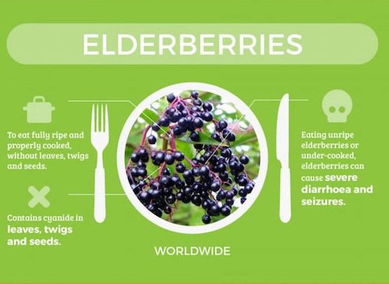 Τα πιο επικίνδυνα φαγητά του κόσμου: Τι να μη φάτε σε κάθε χώρα [εικόνες] | iefimerida.gr 8