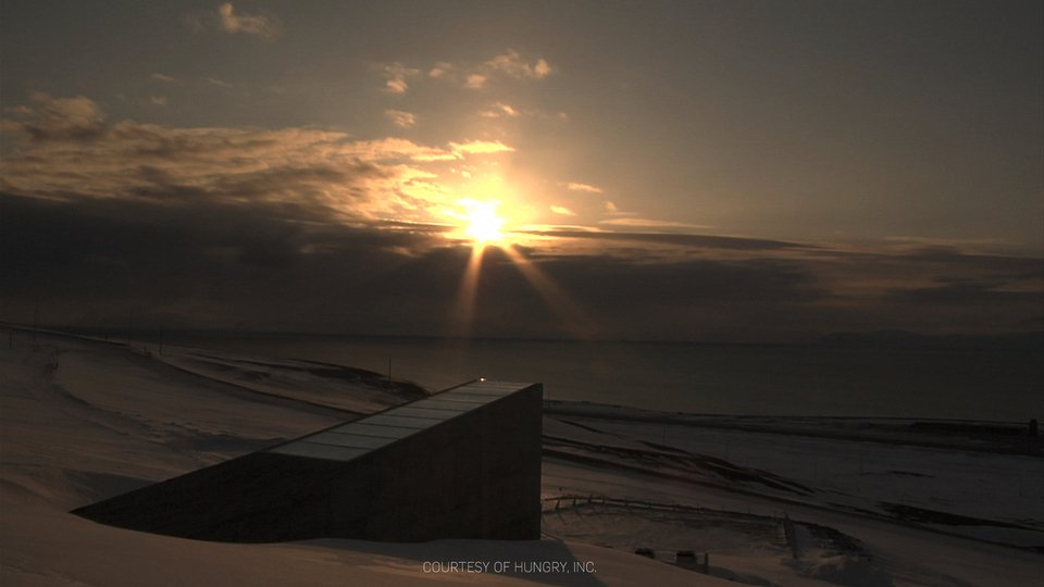 Η παγκόσμια «Κιβωτός» των σπόρων δανείζει τα αποθέματά της στη Συρία [εικόνες]  | iefimerida.gr 1
