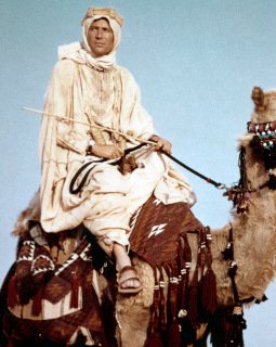 Οταν ο Πίτερ Ο' Τουλ πλήρωσε καλόγρια για σεξ: Ο αλκοολισμός και η άστατη ζωή του Λόρενς της Αραβίας [εικόνες] | iefimerida.gr 4