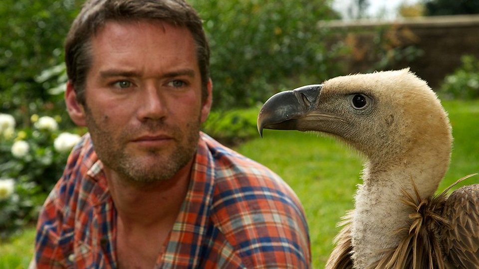 Πώς είναι να σε τρώνε τα όρνια: Σοκαριστικές λήψεις από κάμερα κρυμμένη σε κουφάρι ζώου [βίντεο] | iefimerida.gr 0