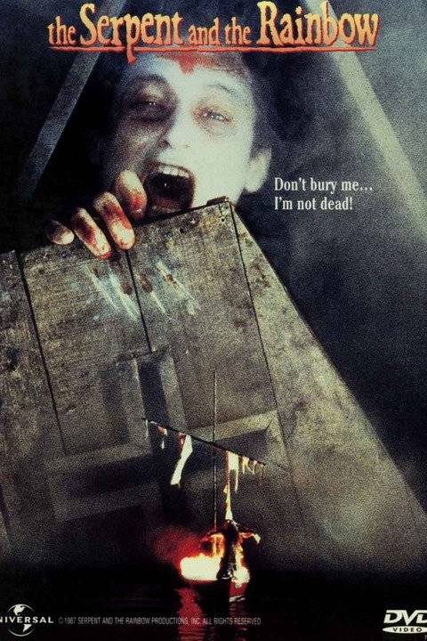 Πέθανε ο αρχιερέας του βουντού από την Αϊτή που εντυπωσίασε και τρόμαξε τη Δύση [εικόνες] | iefimerida.gr 2