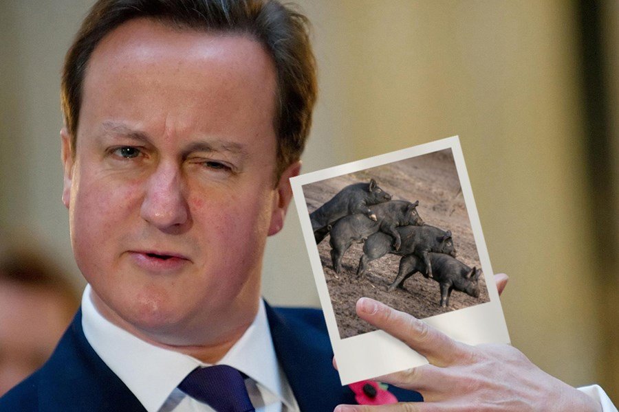 Piggate: Ο Κάμερον έκανε σεξ με γουρούνι -Το νέο σκάνδαλο της Αγγλίας [εικόνες] | iefimerida.gr 0