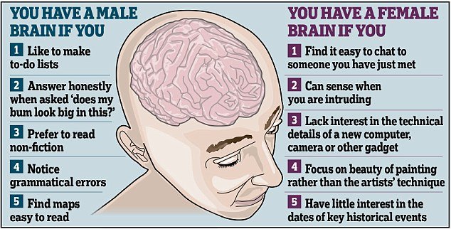 Εχετε γυναικείο ή ανδρικό εγκέφαλο; Κάντε το μίνι τεστ [λίστα] | iefimerida.gr 0