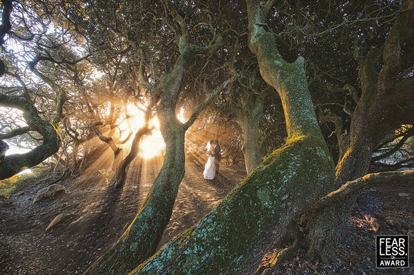Οι 25 καλύτερες φωτογραφίες γάμου του καλοκαιριού - Ιδιαίτερα καρέ που ξεχειλίζουν συναίσθημα [εικόνες] | iefimerida.gr 22