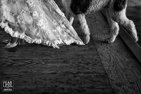 Οι 25 καλύτερες φωτογραφίες γάμου του καλοκαιριού - Ιδιαίτερα καρέ που ξεχειλίζουν συναίσθημα [εικόνες] | iefimerida.gr 24