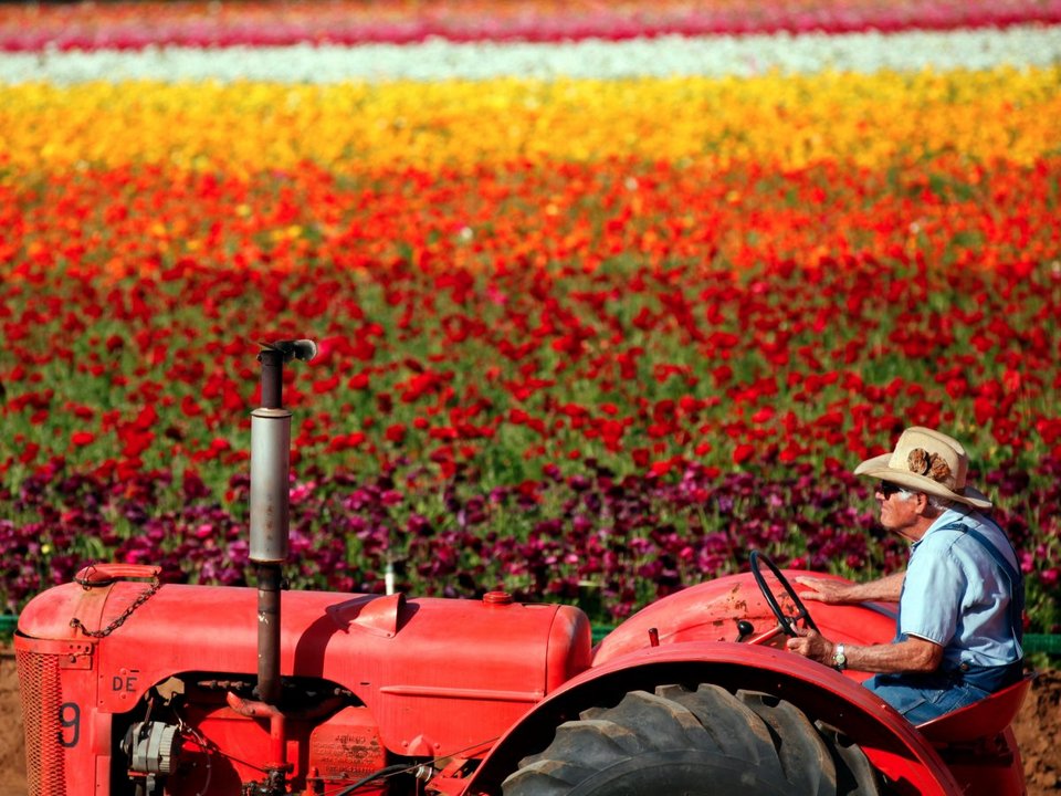 Αυτά είναι τα 10 επαγγέλματα που θα εξαφανιστούν τα επόμενα χρόνια [λίστα] | iefimerida.gr 8