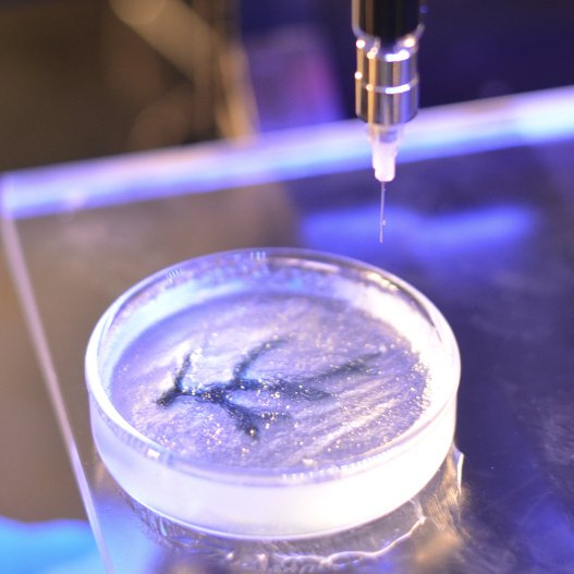 Στα σκαριά η 3D καρδιά: Ενα βήμα πριν την πλήρη εκτύπωση του οργάνου οι επιστήμονες [εικόνες&βίντεο] | iefimerida.gr 1