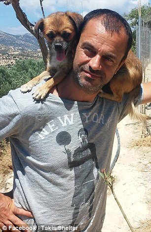 Οδοντίατρος στην Κρήτη παρατάει τη δουλειά του για να φροντίζει αδέσποτα - Η Daily Mail εντυπωσιάζεται [εικόνες] | iefimerida.gr 0