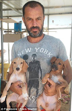 Οδοντίατρος στην Κρήτη παρατάει τη δουλειά του για να φροντίζει αδέσποτα - Η Daily Mail εντυπωσιάζεται [εικόνες] | iefimerida.gr 1