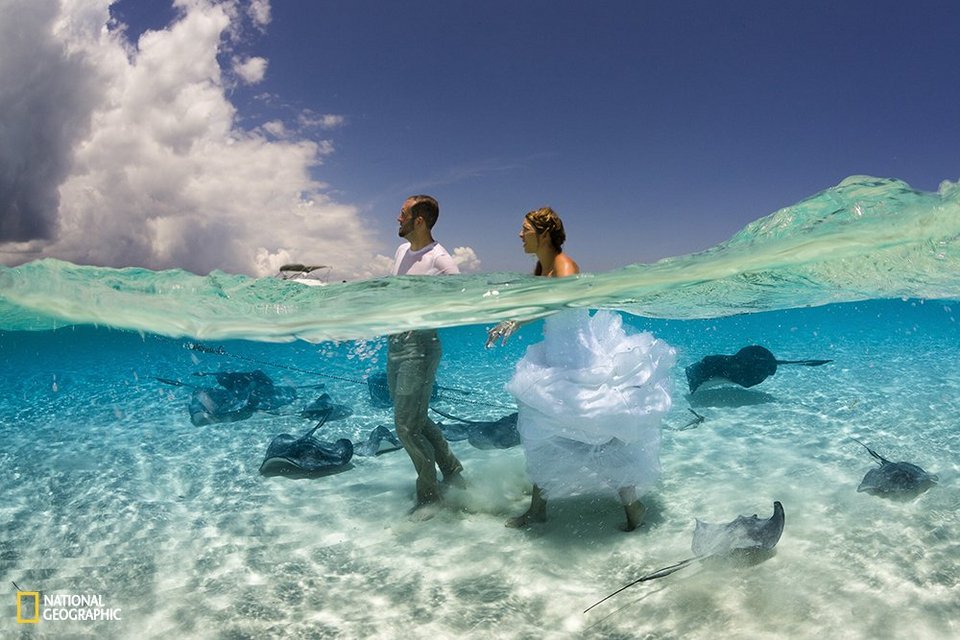 Τα ομορφότερα καρέ: Εντυπωσιακές φωτογραφίες από τον διαγωνισμό του National Geographic [εικόνες] | iefimerida.gr 4