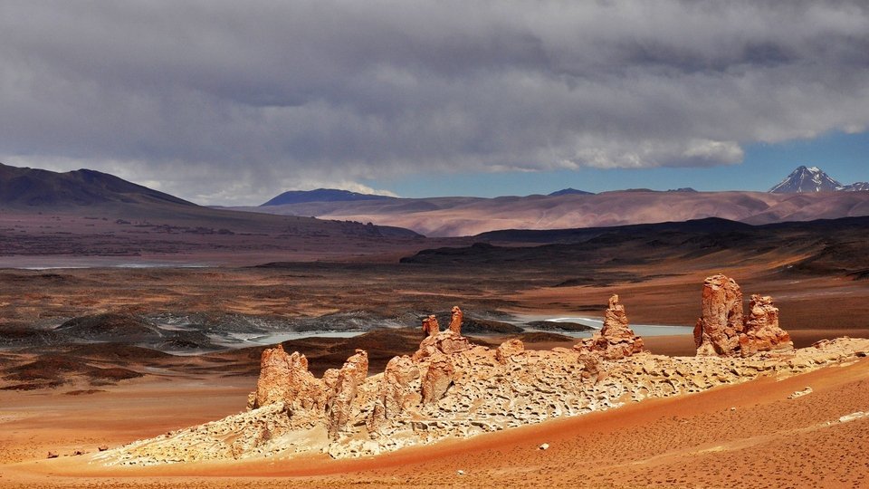 Χιλή: Η πιο άνυδρη έρημος γέμισε λουλούδια -Ενα σπάνιο φαινόμενο [εικόνες] | iefimerida.gr 5