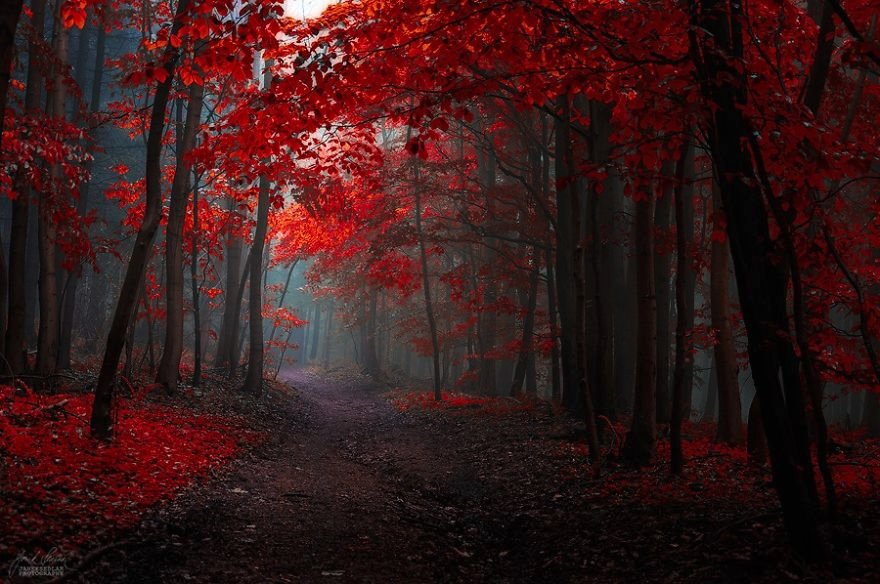 Οκτώ λόγοι για να αγαπήσετε το Φθινόπωρο - Μέσα από τα κλικ φωτογράφου [εικόνες] | iefimerida.gr 2