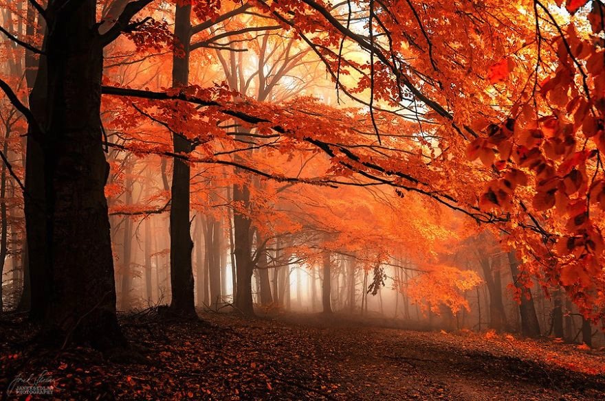 Οκτώ λόγοι για να αγαπήσετε το Φθινόπωρο - Μέσα από τα κλικ φωτογράφου [εικόνες] | iefimerida.gr 3