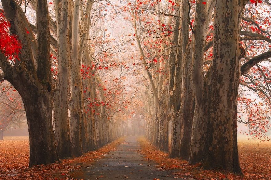 Οκτώ λόγοι για να αγαπήσετε το Φθινόπωρο - Μέσα από τα κλικ φωτογράφου [εικόνες] | iefimerida.gr 4