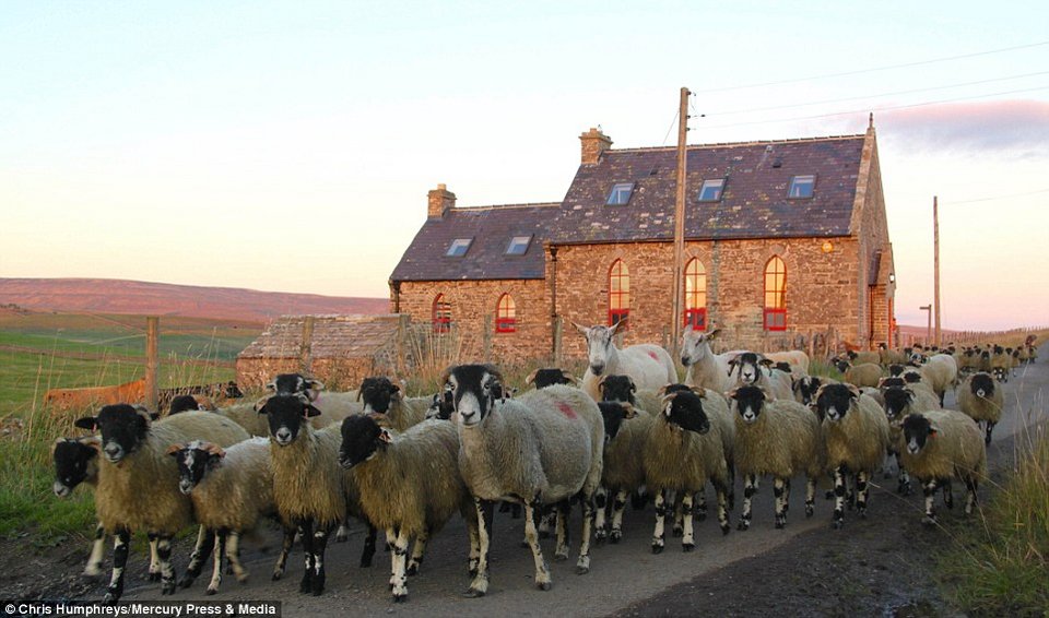 Εγκαταλελειμμένο εκκλησάκι μετατρέπεται σε ντιζαϊνάτη εξοχική κατοικία [εικόνες]    | iefimerida.gr 7