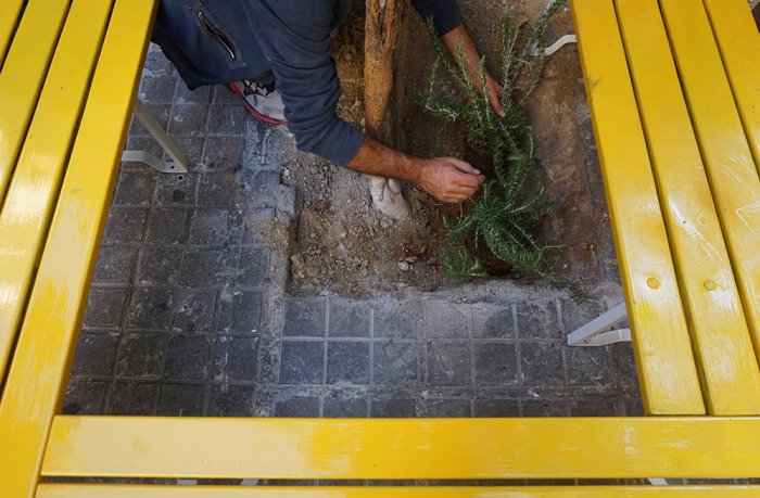 Atenistas - Ανακαταλαμβάνοντας ένα πεζοδρόμιο με θεαματικά αποτελέσματα [εικόνες] | iefimerida.gr 4