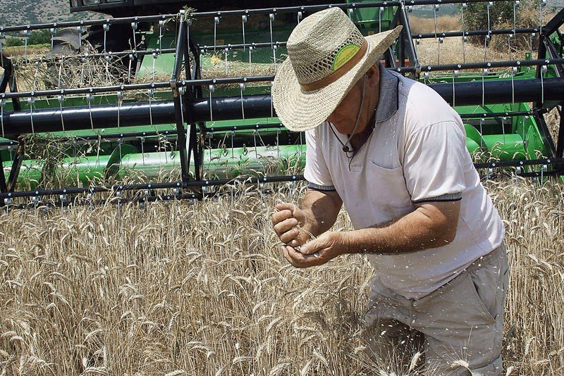 Τα 10 καλύτερα επαγγέλματα για... ακοινώνητους -Για όσους απεχθάνονται να δουλεύουν με άλλους [εικόνες] | iefimerida.gr 1