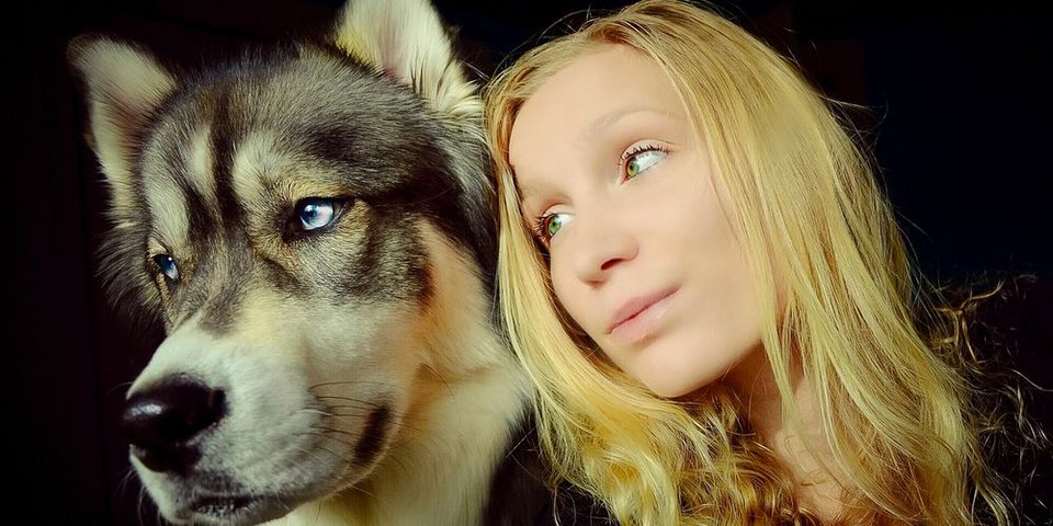 Ο σκύλος την έσωσε από τη βία του συντρόφου της -Μια απίστευτη ιστορία [εικόνες] | iefimerida.gr 4