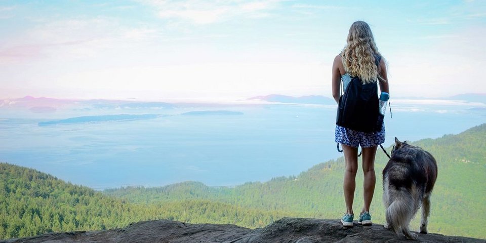 Ο σκύλος την έσωσε από τη βία του συντρόφου της -Μια απίστευτη ιστορία [εικόνες] | iefimerida.gr 3