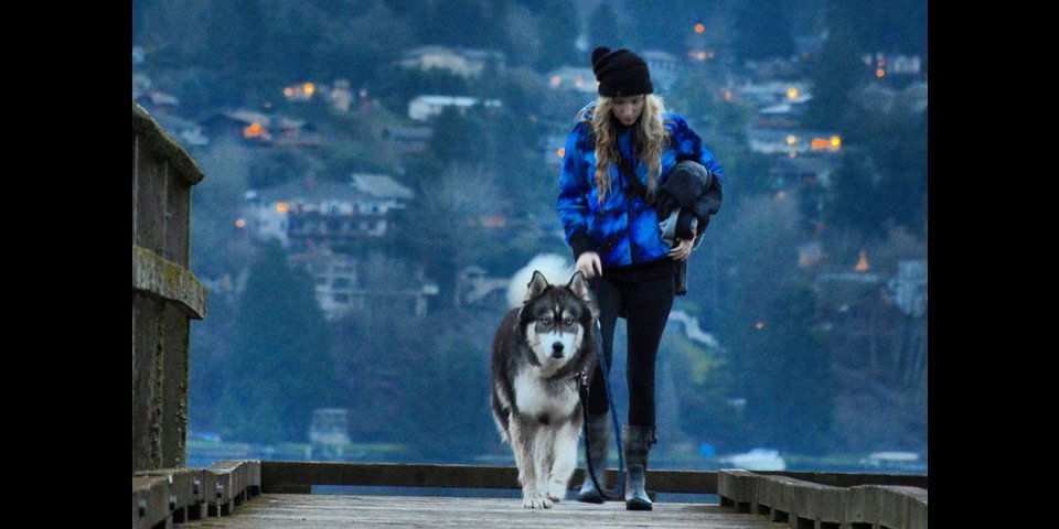Ο σκύλος την έσωσε από τη βία του συντρόφου της -Μια απίστευτη ιστορία [εικόνες] | iefimerida.gr 1