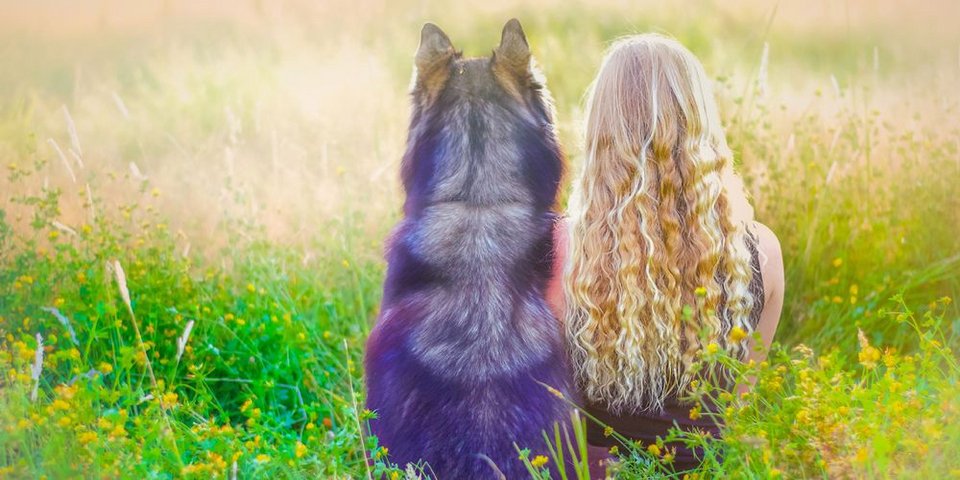 Ο σκύλος την έσωσε από τη βία του συντρόφου της -Μια απίστευτη ιστορία [εικόνες] | iefimerida.gr 0