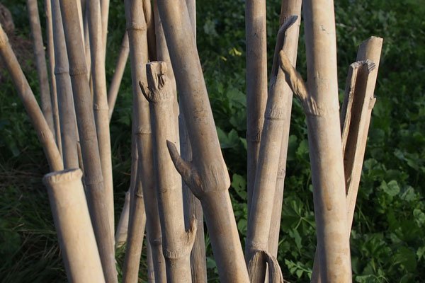 Εικαστικός διαχειρίζεται υγρασίες στο Μεταξουργείο! [εικόνες] | iefimerida.gr 1