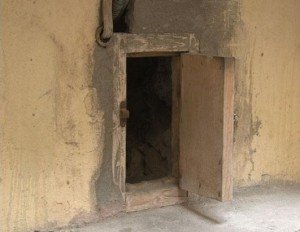 Οι γάτες του Ερμιτάζ -Μπήκαν με εντολή μιας τσαρίνας και μένουν ακόμη μέσα στο μουσείο, αιώνες μετά [εικόνες] | iefimerida.gr 3