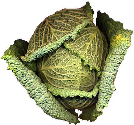 Τα 10 καλύτερα τρόφιμα του φθινοπώρου -Χτίστε την υγεία σας [εικόνες] | iefimerida.gr 0