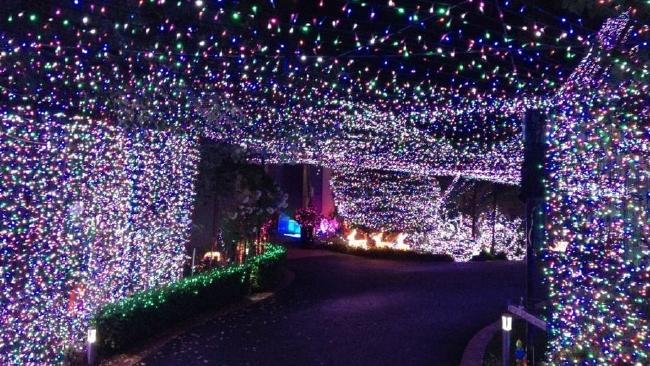 Αυστραλός έσπασε το παγκόσμιο ρεκόρ: Στόλισε χριστουγεννιάτικο δέντρο με 518.838 λαμπάκια [εικόνες & βίντεο] | iefimerida.gr 2